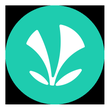 JioSaavn APK